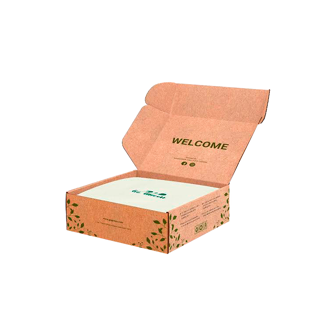 eco-friendly mailer box 2